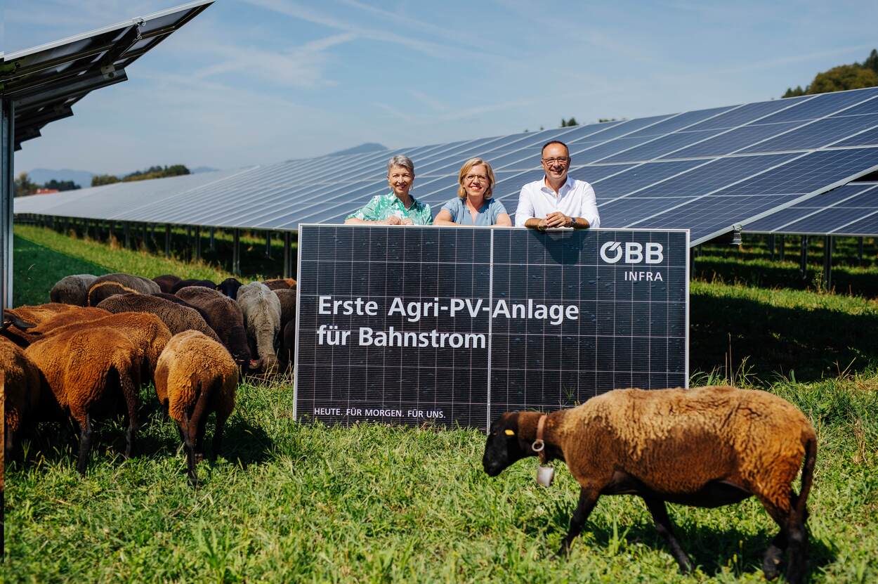 ÖBB vereinen Hühnerfreilauf mit Sonnenkraft: Fertigstellung der ersten Agri-Photovoltaikanlage für grünen Bahnstrom